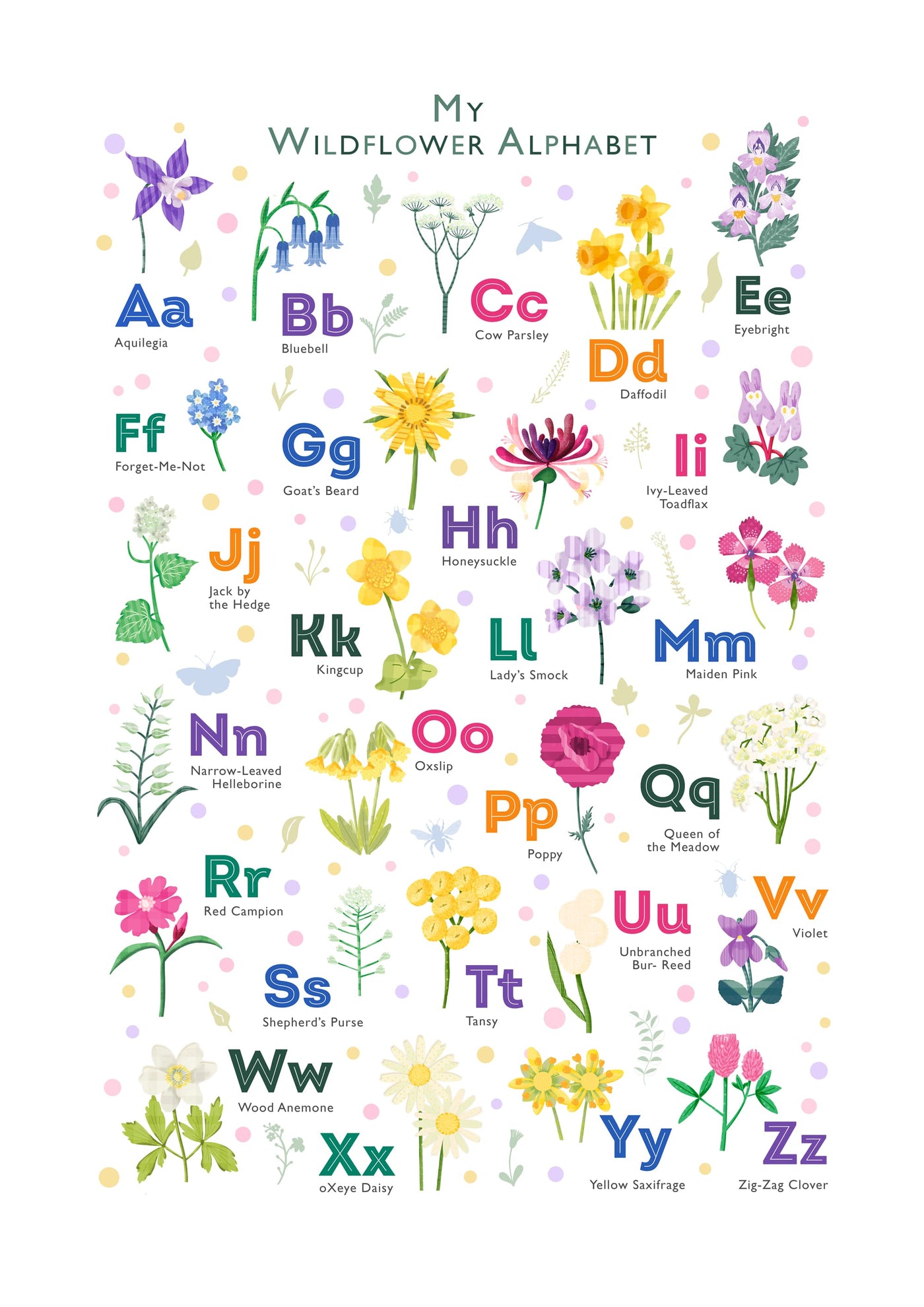 Close-up image of the personalized wildflower alphabet print featuring delicate illustrations of wildflowers corresponding to each letter of the alphabet.