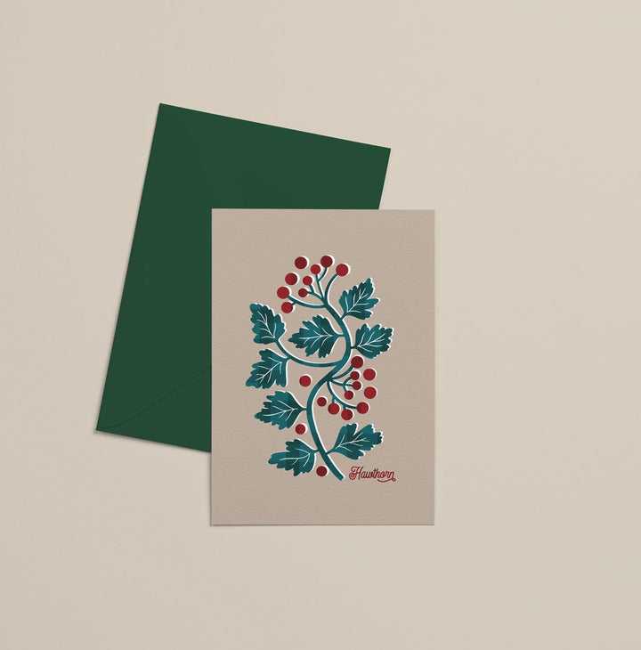 Modern Luxury Christmas Card Multipack – Christmas Foliage - PaperPaintPixels