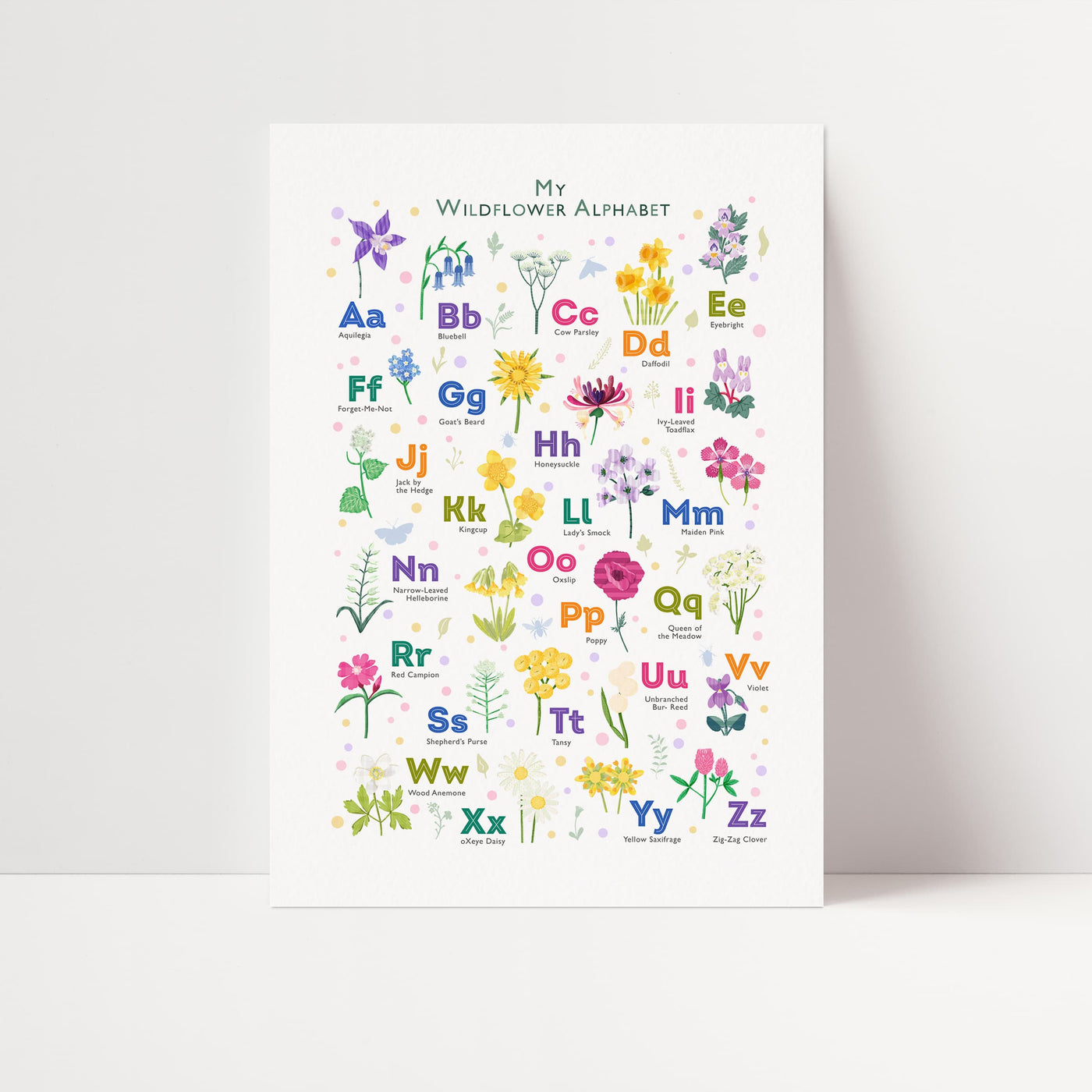 Image of a  wildflower alphabet print with the title 'my wildflower alphabet' standing up against a light colored wall.