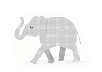 Animals & Safari
