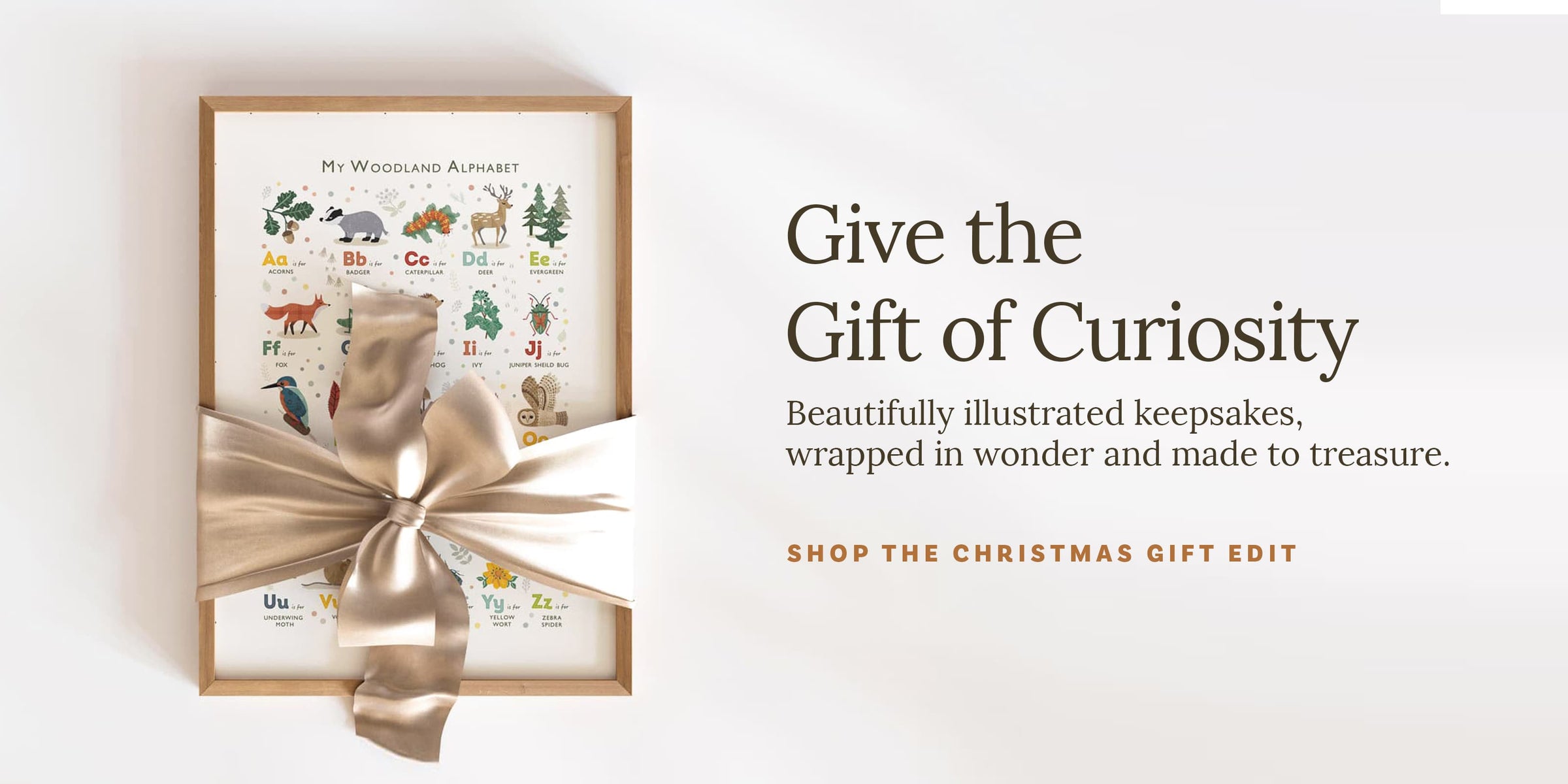 Framed illustration with a bow, text promoting 'The Gift of Curiosity' on a light background