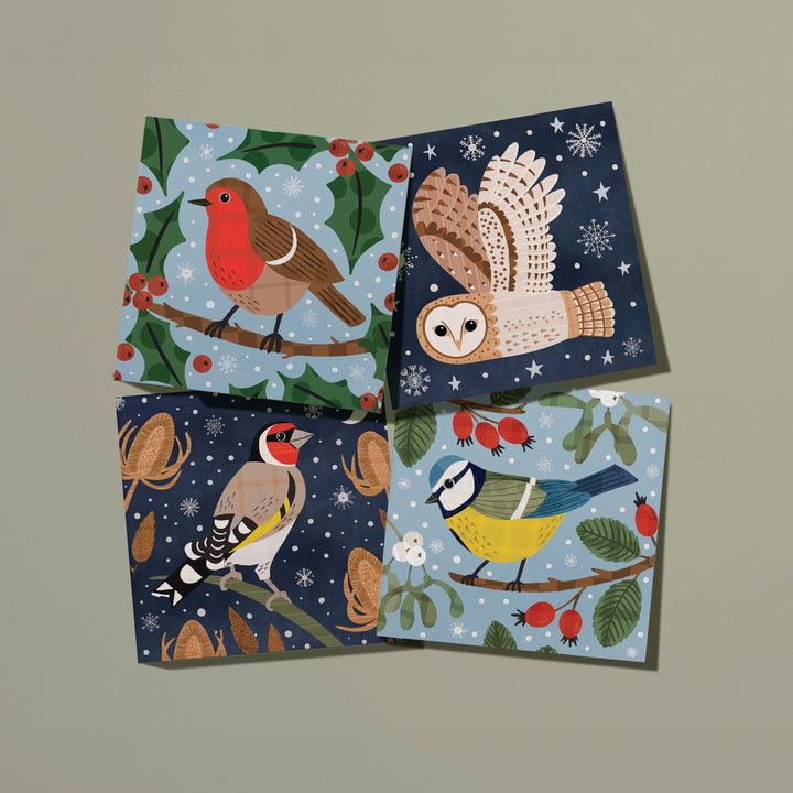 Set of four garden bird christmas cards- robin ,barn owl, goldfinch and blue tit on green background