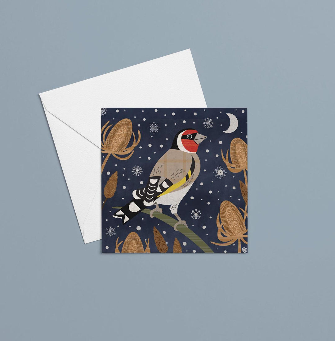 British Garden Birds Christmas Card Multipack, Charity Christmas Cards