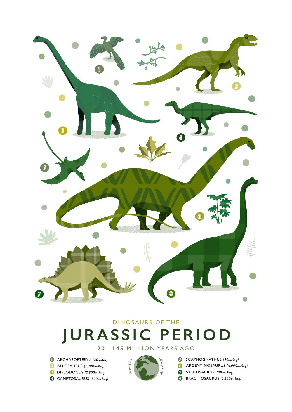 Illustrations of dinosaurs from the Jurassic period on a white background