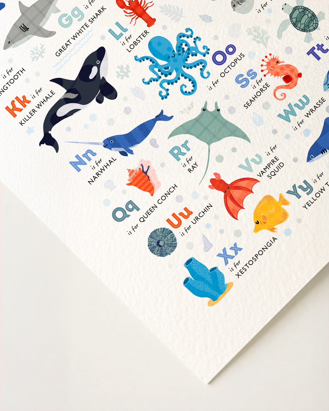 Ocean Animals Alphabet Print, Sea Life ABC Poster (Trade)