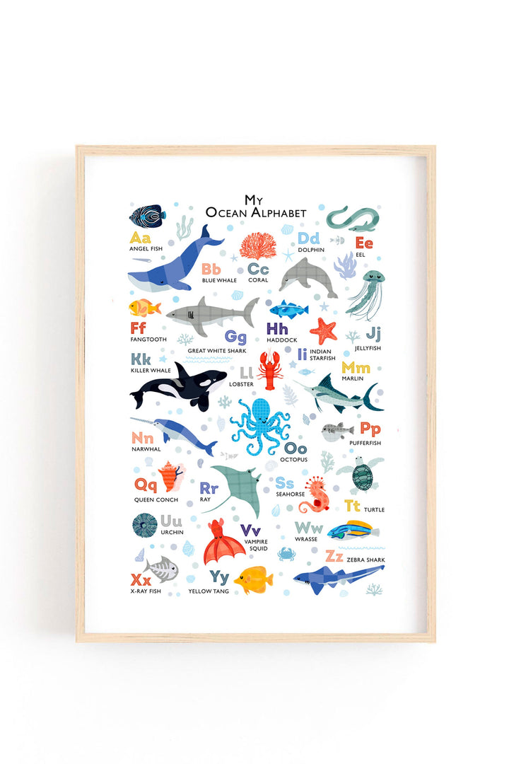 an illustrated alphabet framed picture of a poster of ocean animals and fish