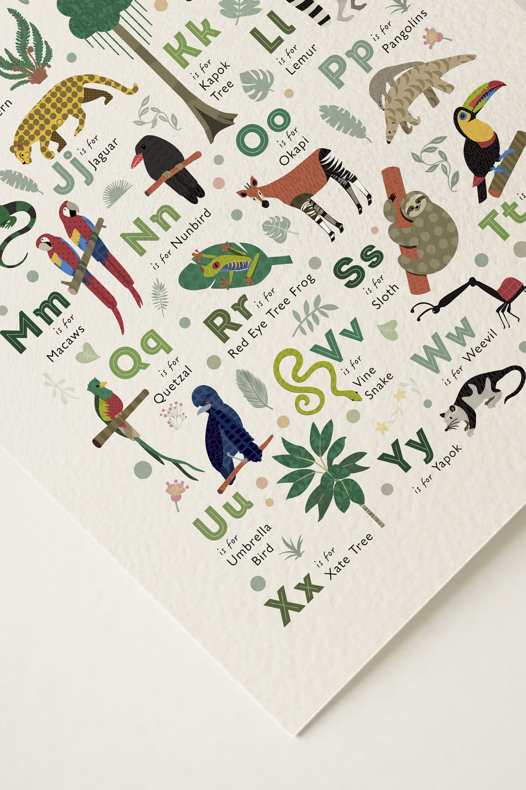 Rainforest ABC Learning Art Print | Wildlife Alphabet Art
