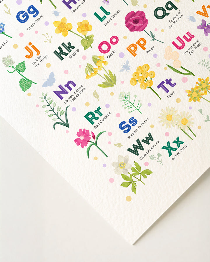 British Wildflower Alphabet Print | Botanical Wall Art | ABC Nursery Poster