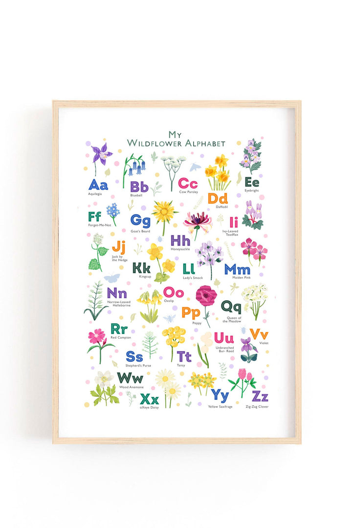 a beautifully illustrated wildflower alphabet print framed on a white wall