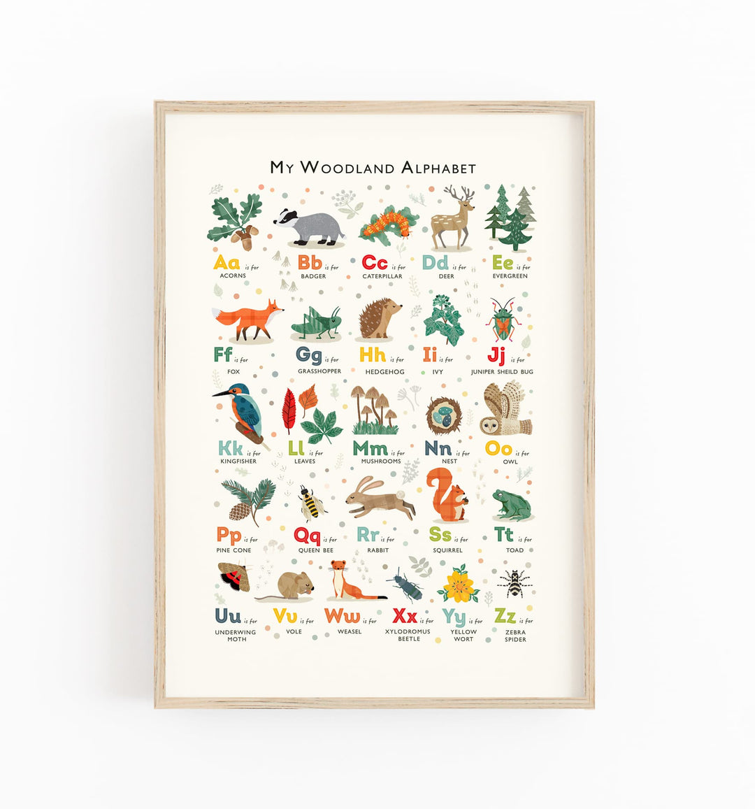 Woodland alphabet poster with illustrations of animals and plants on a white background