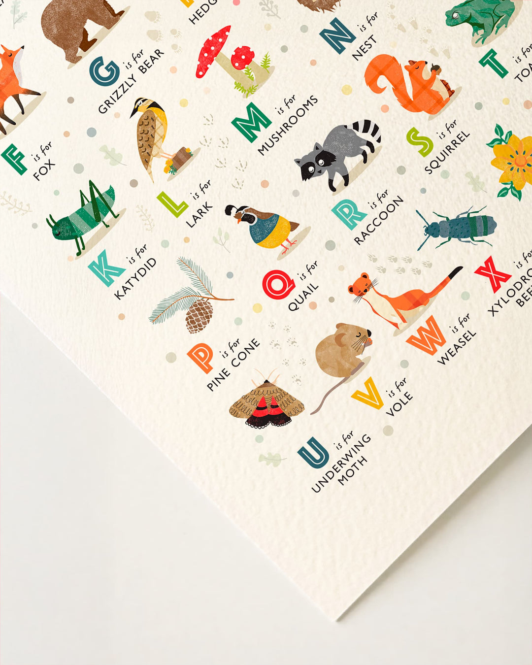 Forest Alphabet Print — Nature ABC Wall Art for Children&