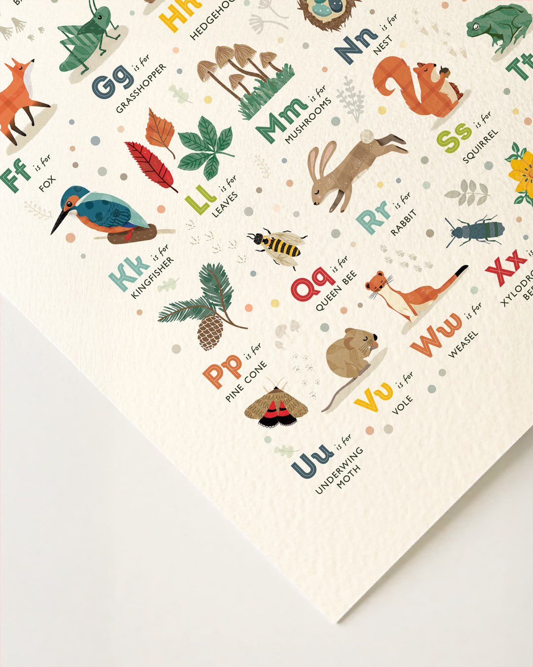 British Woodland Alphabet Print | Woodland Nursery Wall Art | ABC Poster